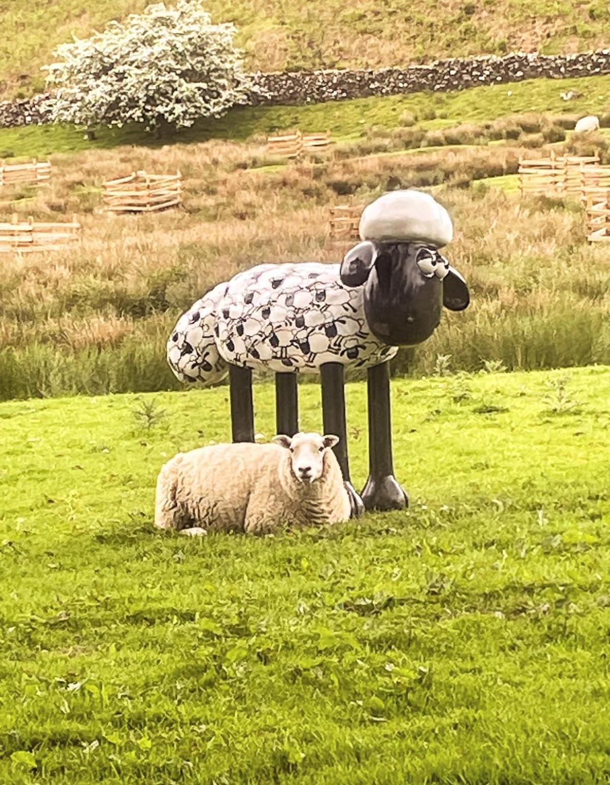 فيلا The Place Loweswater كوكيرماوث المظهر الخارجي الصورة